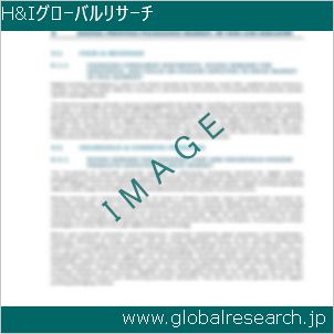 グローバルリサーチ調査レポートのイメージ
